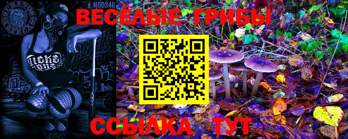 Красногорск  Галлюциногенные грибы GOLDEN TEACHER  Галлюциногенные грибы Psilocybine cubensis  Вход с VPN 